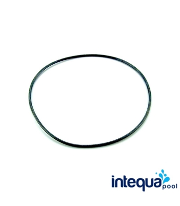 JUNTA ANILLO FILTRO LISBOA 255X4