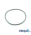 JUNTA ANILLO FILTRO LISBOA 255X4