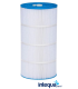 RECAMBIO FILTRO SWIMCLEAR