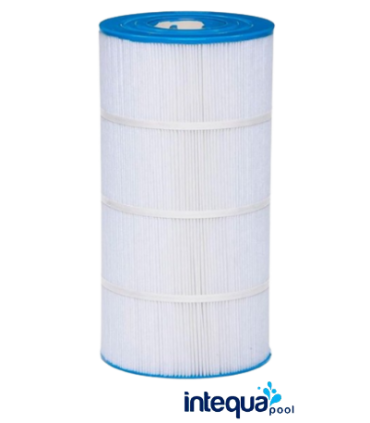 RECAMBIO FILTRO SWIMCLEAR