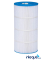 RECAMBIO FILTRO SWIMCLEAR