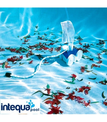 LIMPIAFONDOS POLARIS P280 (ZODIAC)